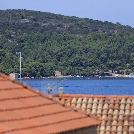 Zoia's Kut House Vis