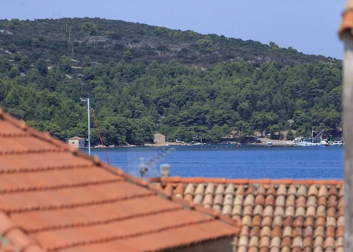 Zoia's Kut House 비스